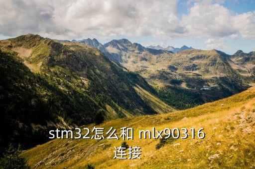 stm32怎么和 mlx90316连接