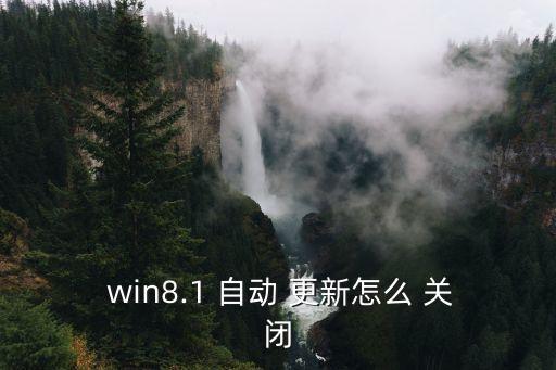  win8.1 自动 更新怎么 关闭