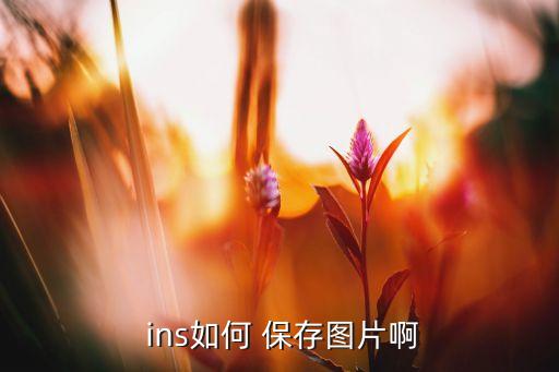 ins修完图片自动保存,点击图片三个点即可查看精彩视频