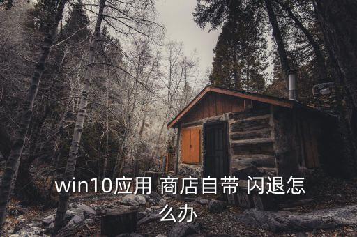 win10应用商店自动闪退,1月份第一轮拥车证标价全面下滑