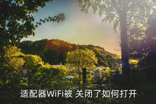  适配器wifi被 关闭了如何打开