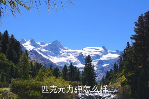 peak怎么取消自动,电子扭力计的复位键是什么?