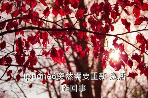 iphone自动重新激活,苹果iphone需要激活才能重置