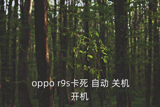  oppo r9s卡死 自动 关机开机