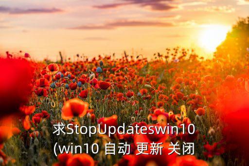 求stopupdateswin10(win10 自动 更新 关闭