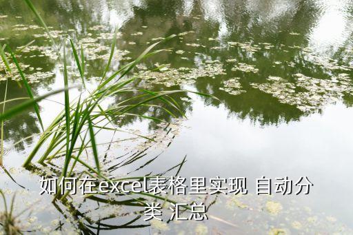 如何在excel表格里实现 自动分类 汇总