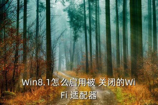 win8.1怎么启用被 关闭的wifi 适配器