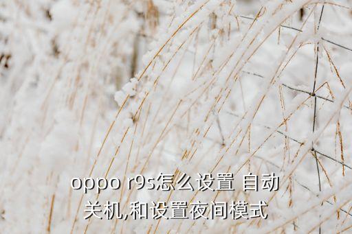 oppo r9s自动开关机,手机自动关机功能介绍一下!