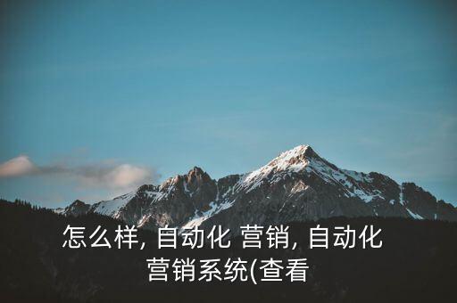 怎么样, 自动化 营销, 自动化 营销系统(查看