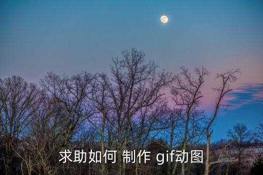 求助如何 制作 gif动图