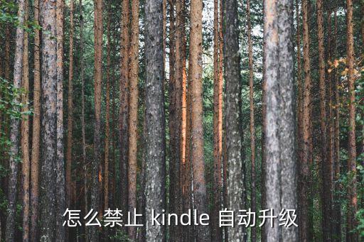 怎么禁止 kindle 自动升级