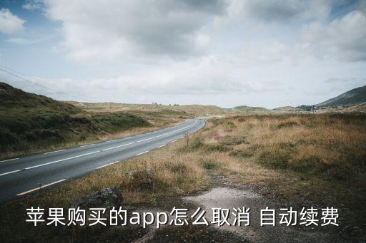 苹果购买的app怎么取消 自动续费