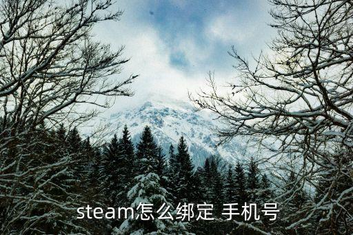  steam怎么绑定 手机号