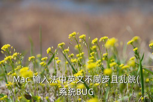 mac 输入法中英文不同步且乱跳(系统bug