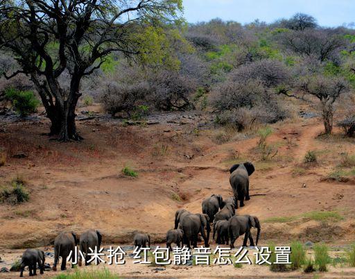  小米抢 红包静音怎么设置