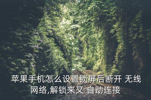  苹果手机怎么设置锁屏后断开 无线网络,解锁来又 自动连接