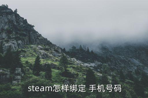  steam怎样绑定 手机号码