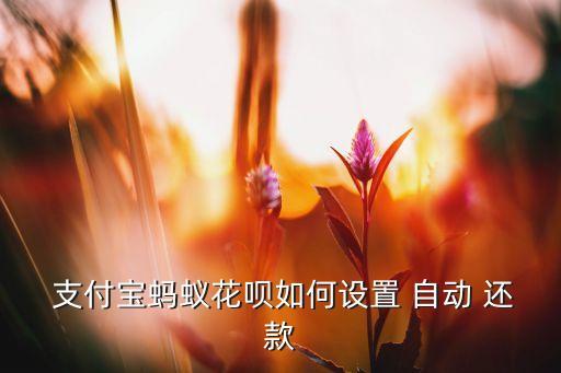  支付宝蚂蚁花呗如何设置 自动 还款