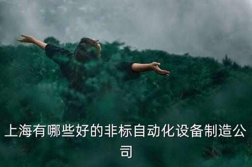 上海有哪些好的非标自动化设备制造公司