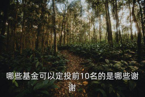 哪些基金可以定投前10名的是哪些谢谢