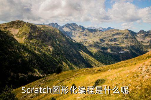 scratch图形化编程是什么呢