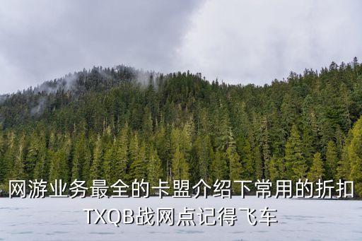 网游业务最全的卡盟介绍下常用的折扣txqb战网点记得飞车