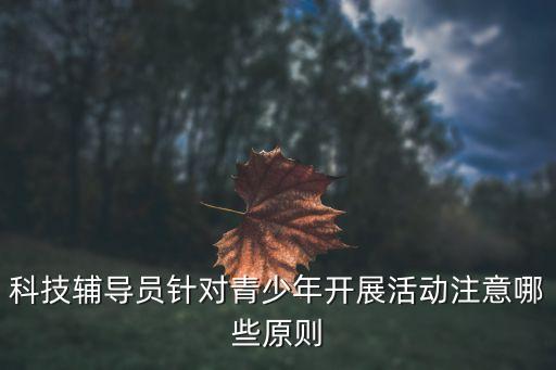 科技辅导员针对青少年开展活动注意哪些原则