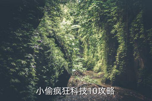 小偷疯狂科技10攻略