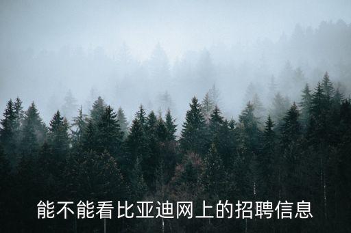 能不能看比亚迪网上的招聘信息