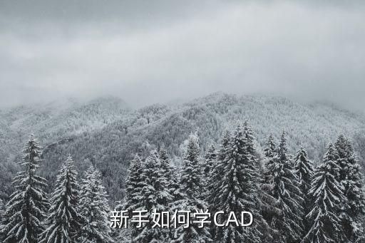 新手如何学cad