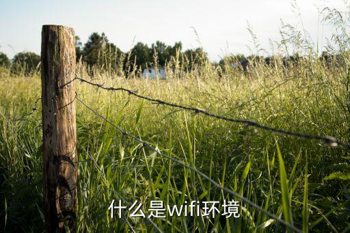 什么是wifi环境