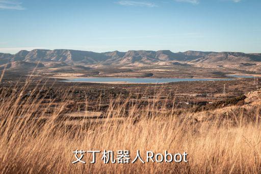 艾丁机器人robot