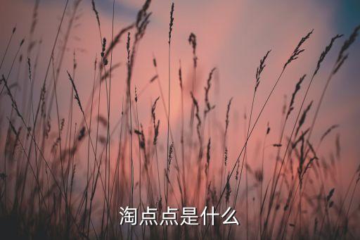 淘点点是什么