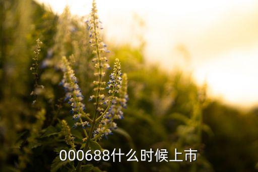 天成自控上市时间，000688什么时候上市