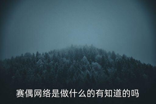 赛偶网络是做什么的有知道的吗