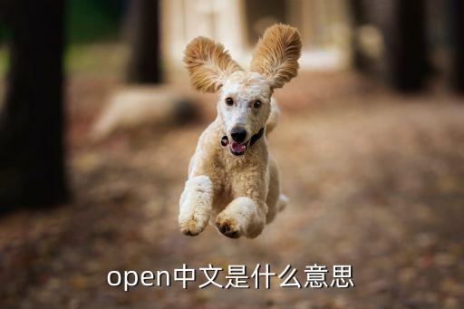 open中文是什么意思