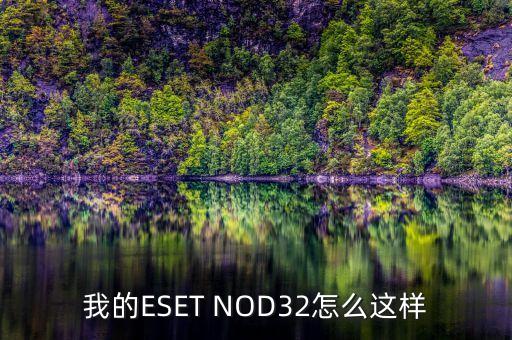 我的eset nod32怎么这样