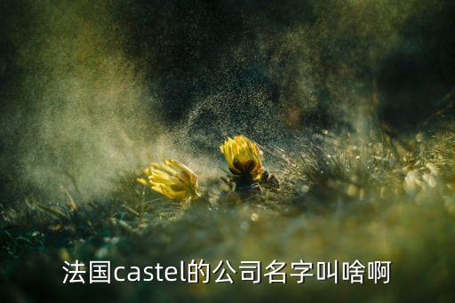 法国castel的公司名字叫啥啊