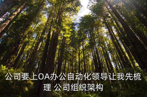 公司要上oa办公自动化领导让我先梳理 公司组织架构