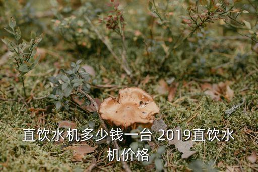 直饮水机多少钱一台 2019直饮水机价格