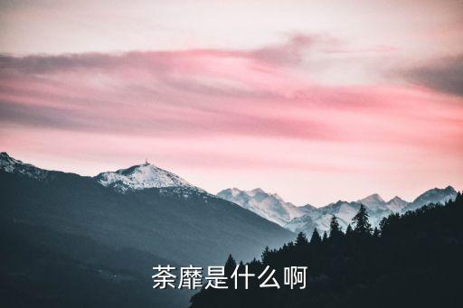 荼靡是什么啊