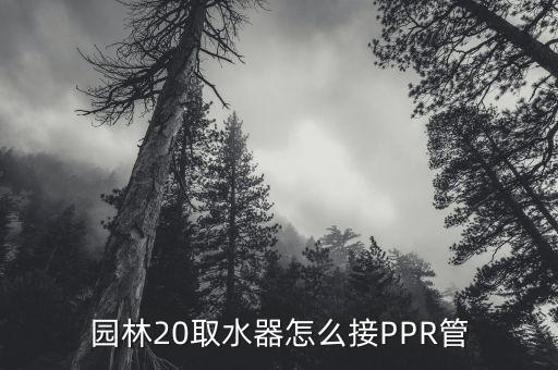 园林20取水器怎么接ppr管