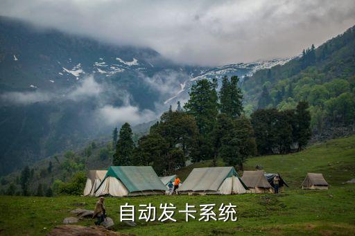 922自动发卡平台，自动发卡平台哪个好发卡平台有哪些