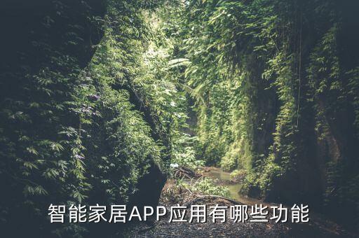 手机智能家居是干什么用的，智能家居app应用有哪些功能