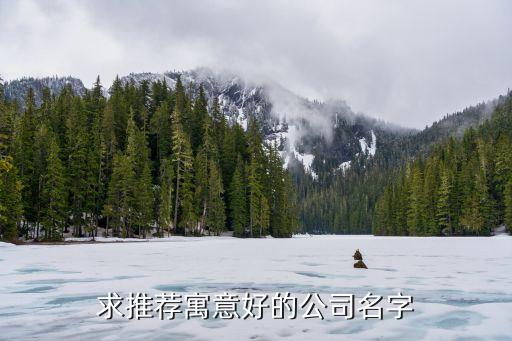 求推荐寓意好的公司名字