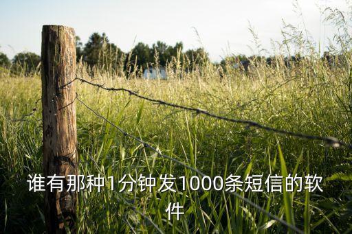 谁有那种1分钟发1000条短信的软件