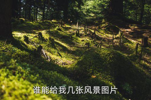 谁能给我几张风景图片