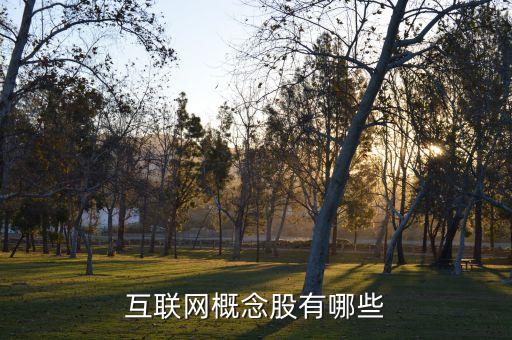 互联网上市公司龙头股，互联网医疗概念股龙头股有哪些