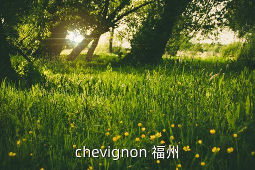 福州福光百特自动化pg电子游戏试玩平台网站官网，chevignon 福州