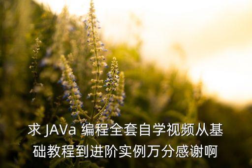 求 java 编程全套自学视频从基础教程到进阶实例万分感谢啊